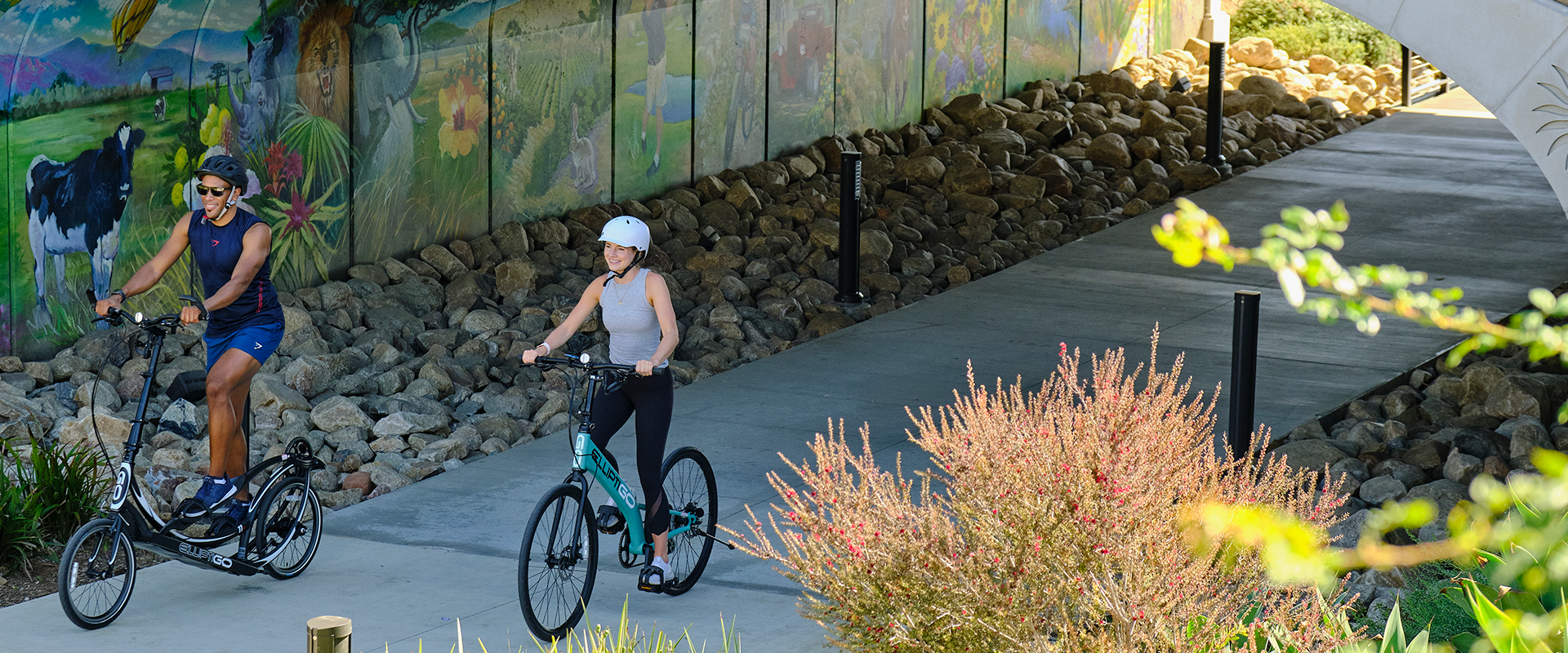 Přehled modelů ElliptoGO